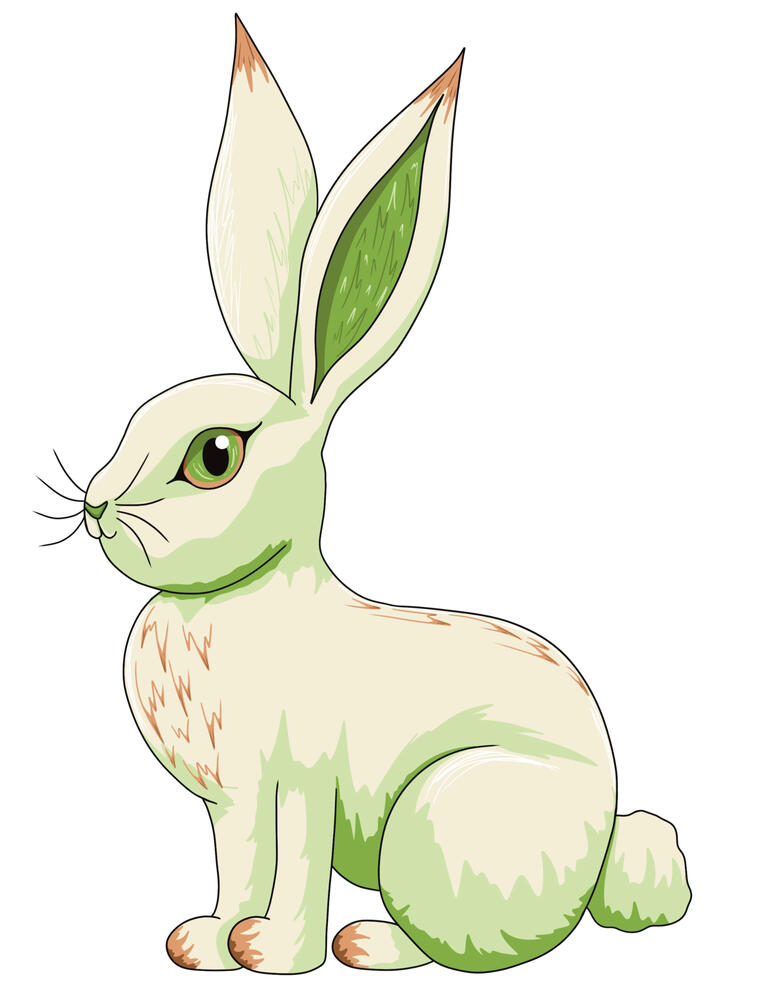 OC Soursop Rabbit